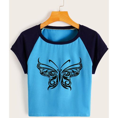 T-shirt à imprimé papillon manches raglan - SHEIN - Modalova