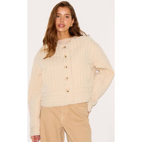 Stone Veste Matelassée Col Rond Boutonnée | Taille XL - PrettyLittleThing - Modalova