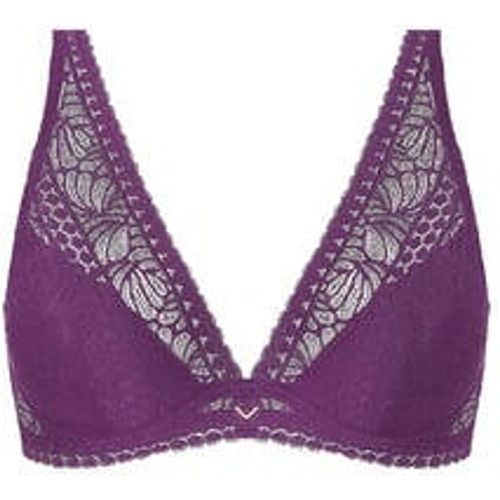 Soutien-gorge triangle coques en dentelle Atelier Séduction - ANTIGEL - Modalova