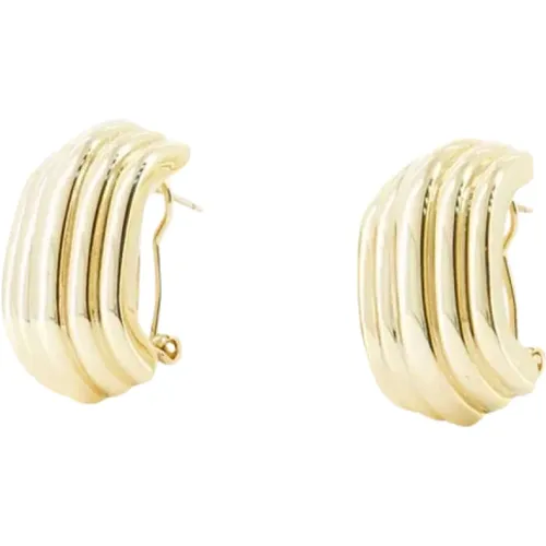 Accessories > Jewellery > Earrings - - Anine Bing - Modalova