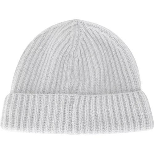 Accessories > Hats > Beanies - - Wild Cashmere - Modalova