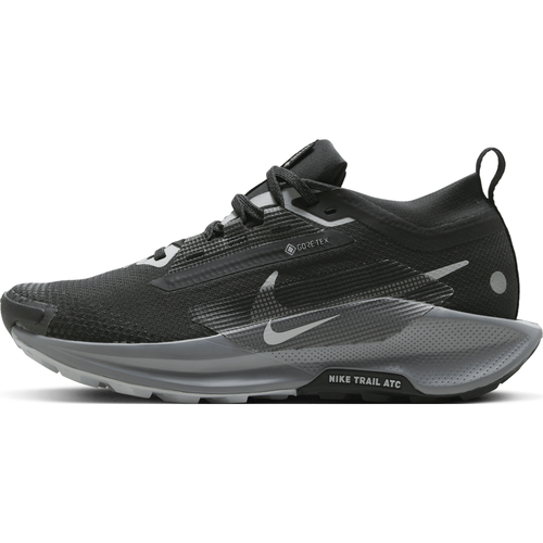 Chaussure de trail imperméable Pegasus Trail 5 GORE-TEX - Nike - Modalova
