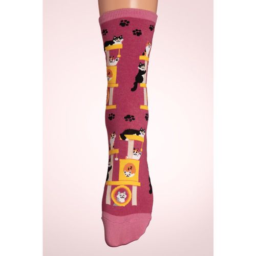 Chaussettes Cool Cats Club en rose - Socksmith - Modalova