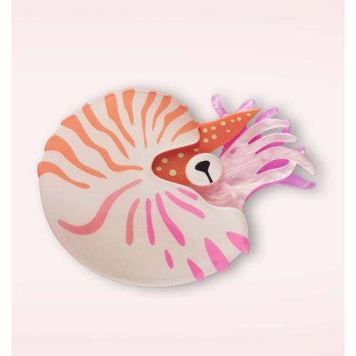 Broche Chambered Nautilus - erstwilder - Modalova