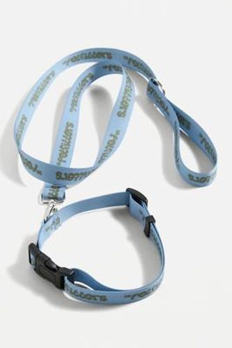 Ensemble collier et laisse UO Petfitters - Urban Outfitters - Modalova