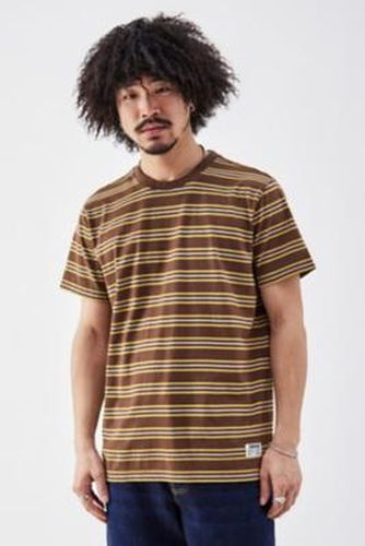 T-shirt rayé marron en taille: TTP - BDG - Modalova