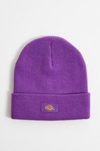 Bonnet Gibsland Violet en taille: TAILLE UNIQUE - Dickies - Modalova