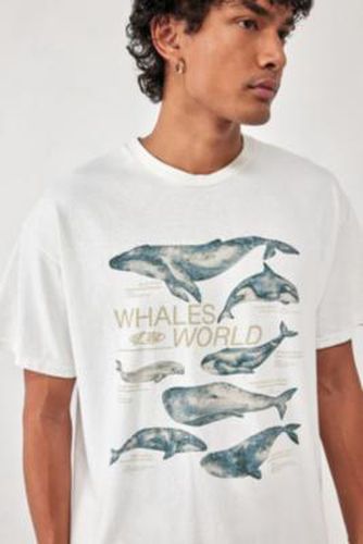 UO - T-shirt Whales World blanc par taille: Small - Urban Outfitters - Modalova