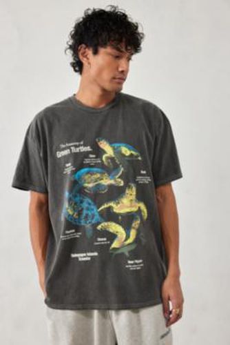 UO - T-shirt Turtles délavé par taille: XS - Urban Outfitters - Modalova