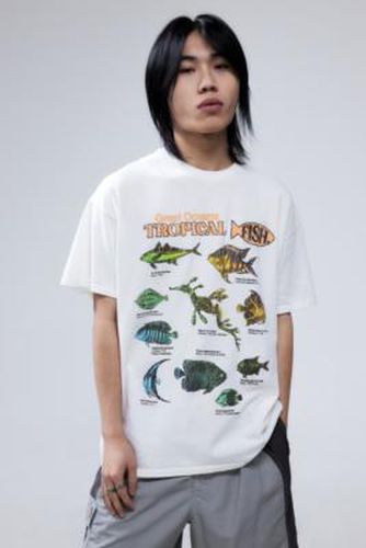 UO - T-Shirt écru Great Oceans, motifs poissons tropicaux par en Crème taille: XS - Urban Outfitters - Modalova