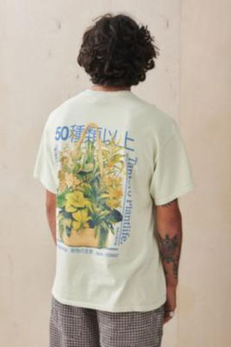 T-shirt UO avec plante suspendue par en taille: Small - Urban Outfitters - Modalova