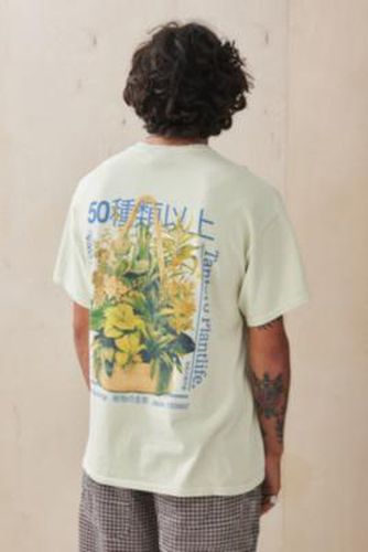 T-shirt UO avec plante suspendue par en Crème taille: XS - Urban Outfitters - Modalova