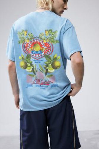 UO - T-shirt à imprimé pamplemousse bleu par taille: XS - Urban Outfitters - Modalova