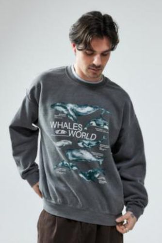 UO - Sweatshirt Whales World noir surteint par taille: 2XS - Urban Outfitters - Modalova