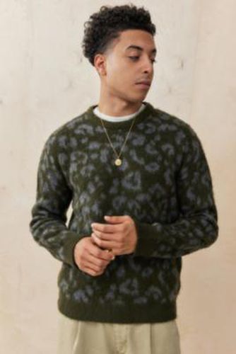 Pull en maille imprimé léopard en taille: TTP - BDG - Modalova