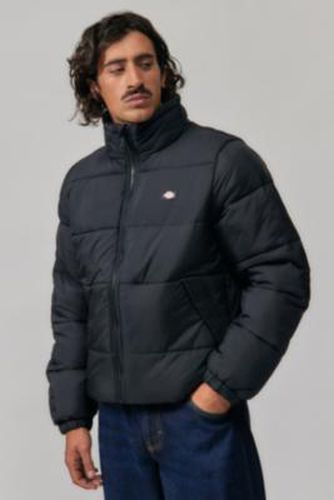 Veste matelassée Waldenburg taille: Medium - Dickies - Modalova