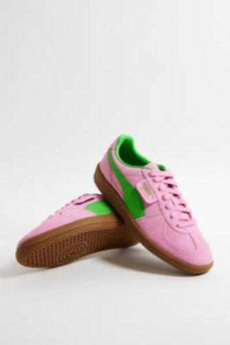 Baskets Palermo Spécial taille: UK 5 - Puma - Modalova