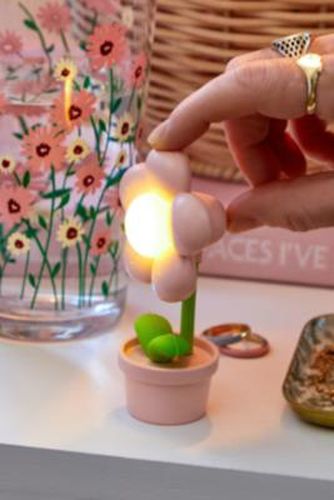 Mini lampe de bureau tulipe rose par - Urban Outfitters - Modalova