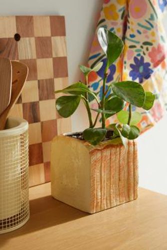 Pot pour plante en forme de pain - Urban Outfitters - Modalova