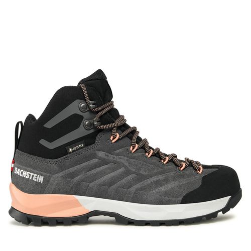 Chaussures de trekking Dachstein SF-21 MC GTX WMN GORE-TEX 75086 140 C Granite 270 - Chaussures.fr - Modalova