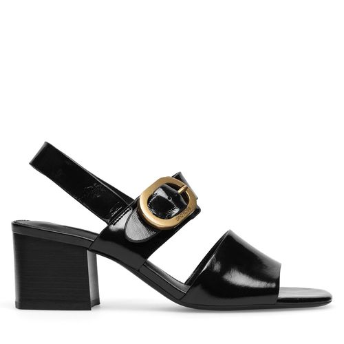 Sandales Gino Rossi V155-25-2 Noir - Chaussures.fr - Modalova