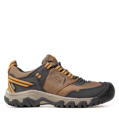Chaussures de trekking Keen Ridge Flex Wp M 1025667 Bison/Golden Brown - Chaussures.fr - Modalova