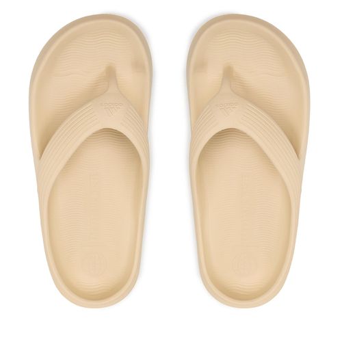 Tongs adidas Adicane Flip-Flops HQ9919 Beige - Chaussures.fr - Modalova