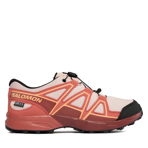 Chaussures de running Salomon Speedcross Climasalomon™ Waterproof L47278800 Rose - Chaussures.fr - Modalova