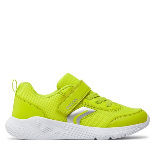 Sneakers Geox J Sprintye Boy J36GBA 01454 C3008 S Fluo Green - Chaussures.fr - Modalova