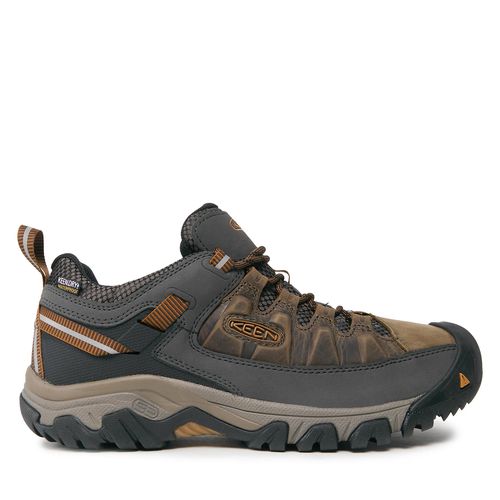 Chaussures de trekking Keen Targhee III Wp 1017784 Black Olive/Golden Brown - Chaussures.fr - Modalova
