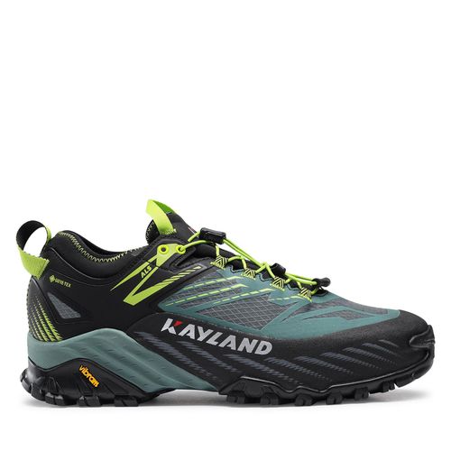Chaussures de trekking Kayland Duke Gtx GORE-TEX 018022460 Black/Green - Chaussures.fr - Modalova