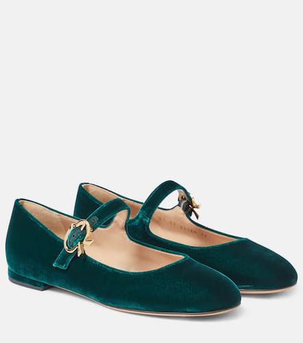 Ballerines Mary Ribbon en velours - Gianvito Rossi - Modalova