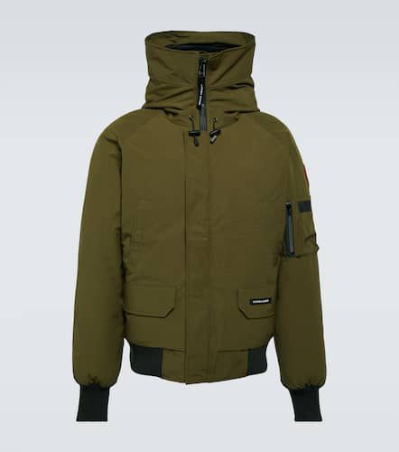 Veste bomber Chilliwack - Canada Goose - Modalova