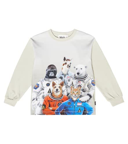 Sweat-shirt Rin imprimé en coton - Molo - Modalova