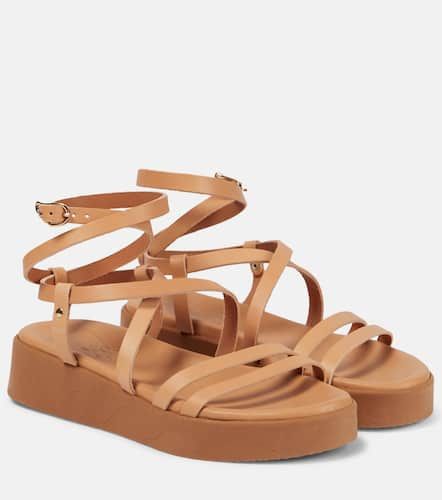 Sandales Aristea à plateforme en cuir - Ancient Greek Sandals - Modalova
