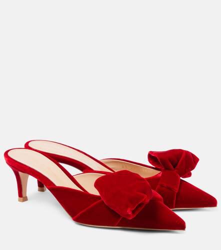 Gianvito Rossi Mules 55 en velours - Gianvito Rossi - Modalova