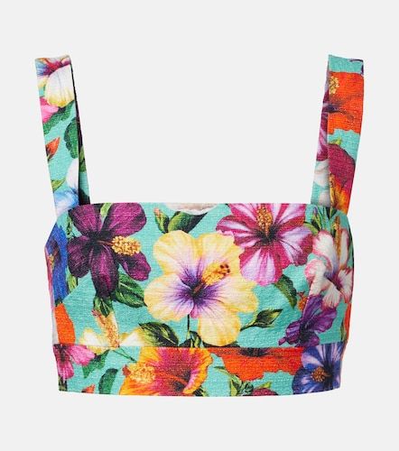 Top court en coton mélangé à fleurs - Dolce&Gabbana - Modalova
