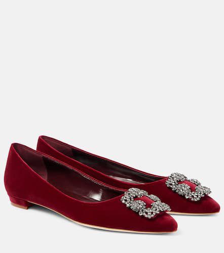 Ballerines Hangisi en velours - Manolo Blahnik - Modalova