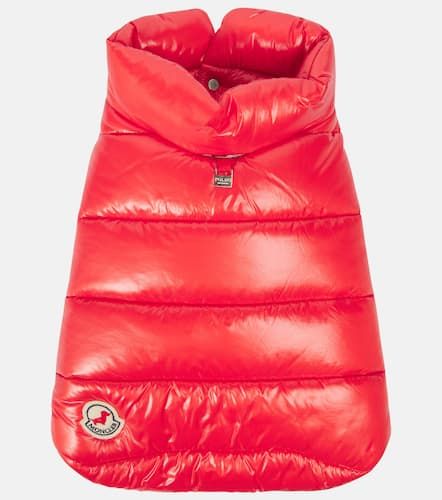 Manteau pour chien Poldo Dog Couture - Moncler - Modalova