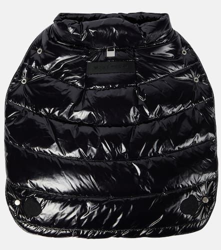 Manteau pour chien 6 1017 ALYX 9SM - Moncler - Modalova