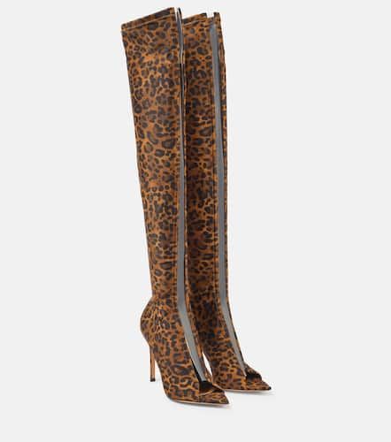 Cuissardes Hiroko 105 à motif léopard - Gianvito Rossi - Modalova
