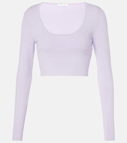 Top raccourci Acacia Knit Scoop - Zimmermann - Modalova