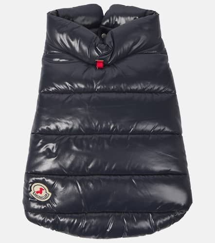 Manteau pour chien Poldo Dog Couture - Moncler - Modalova