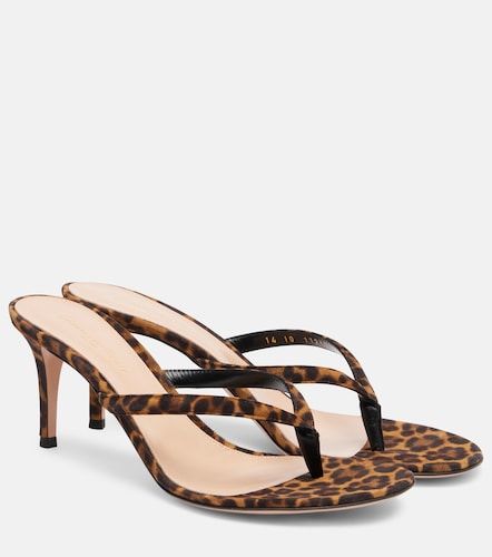 Mules Calypso en daim - Gianvito Rossi - Modalova