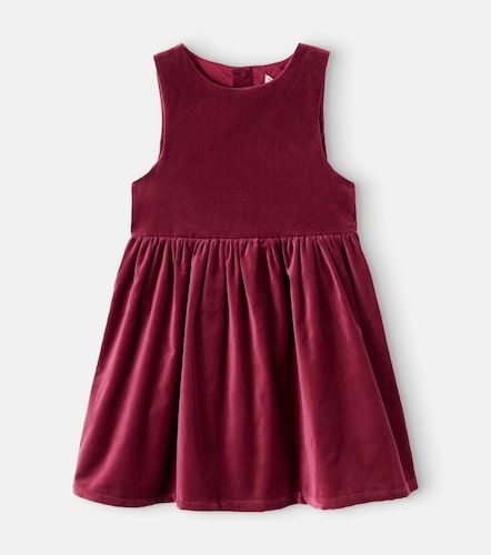 Robe Thelma en velours de coton - Wheat - Modalova