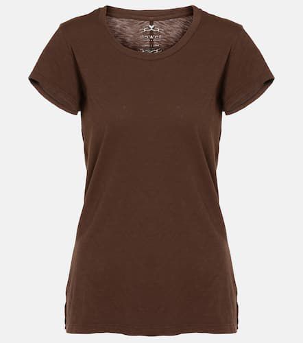 Velvet T-shirt Odelia en coton - Velvet - Modalova