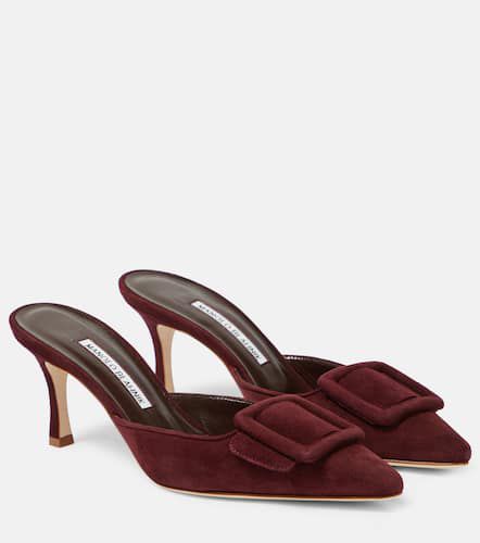 Mules Maysale 70 en daim - Manolo Blahnik - Modalova