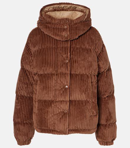 Veste doudoune Daos en velours côtelé - Moncler - Modalova