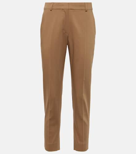 Pantalon droit Lince raccourci en coton - Max Mara - Modalova