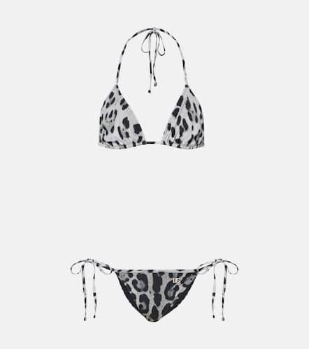 Bikini à motif léopard - Dolce&Gabbana - Modalova